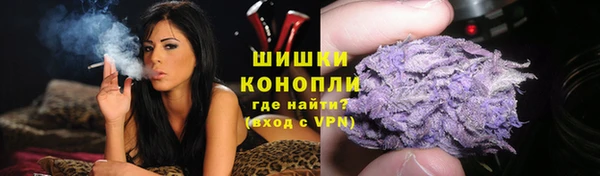 spice Богданович