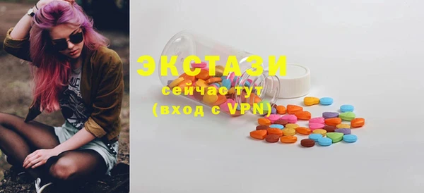 ECSTASY Богородицк