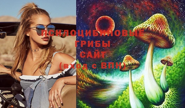 ECSTASY Богородицк