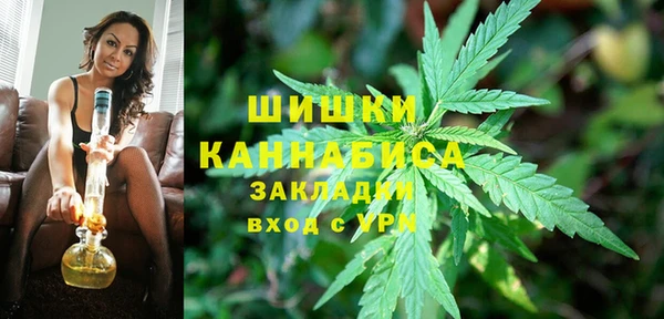 spice Богданович