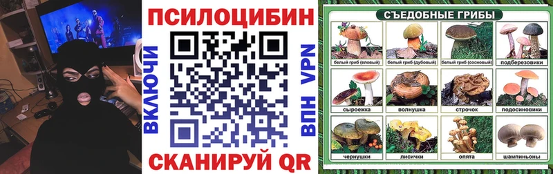 Галлюциногенные грибы ЛСД  маркетплейс Telegram  Карабаново 